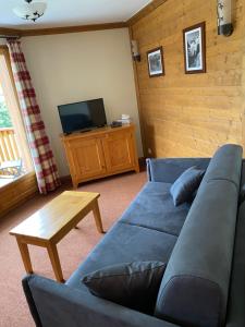a living room with a blue couch and a tv at Les Alpages de VAL CENIS 4/5P in Lanslebourg-Mont-Cenis