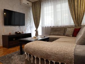Apartment Mona في بودغوريتسا: غرفة معيشة مع أريكة وتلفزيون بشاشة مسطحة