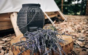 Zahrada ubytování Glamping Nad Meandry
