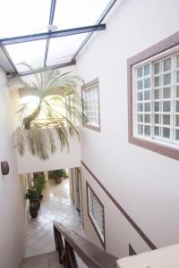 a hallway with a window and a plant at Ypê Flats e Containers in Bonito