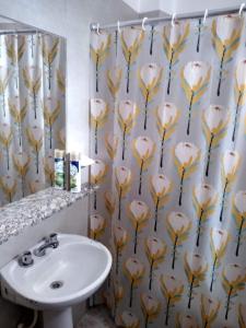 a bathroom with a sink and a shower curtain at Brisas del Parque II in Salta