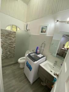 a bathroom with a sink and a toilet and a mirror at Gray Beach House in Potrero