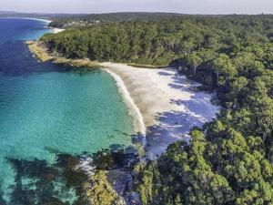 an aerial view of a beach with trees and water at Banksia on Blenheim by Experience Jervis Bay in Vincentia