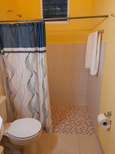 a bathroom with a shower curtain and a toilet at Villa lirios in Valladolid