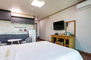 TV a/nebo společenská místnost v ubytování Hotel Amor