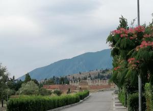 an empty road with flowers and mountains in the background at Demetra Azienda Agricola in Padula