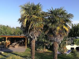 a couple of palm trees in a yard at Entre Mer et Marais Salants in Guérande