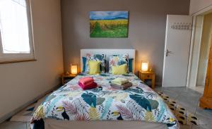 um quarto com uma cama com uma colcha colorida em Le Schwendala - Quartier Petite Venise em Colmar