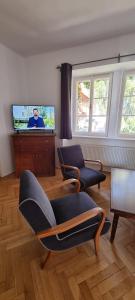 Televízia a/alebo spoločenská miestnosť v ubytovaní Konšelský šenk Domažlice