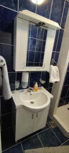 ein Badezimmer mit einem weißen Waschbecken und einem Spiegel in der Unterkunft Guest House Jovanovic in Melenci