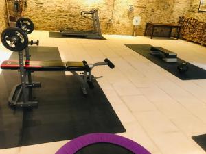 a gym with a treadmill and a treadmill and mats at Le Voyageur - Chambres d'Hôtes in Olonzac +37 photos