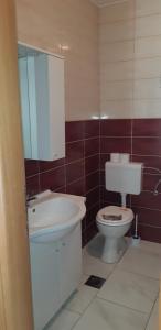 Koupelna v ubytování Apartman Kolan