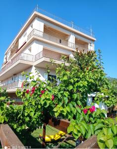 a building with a tree in front of it at Ankypy Studios in Kymi