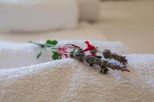 a bouquet of flowers sitting on top of a white towel at Hotel Loula Rooms and Apartments in Kamena Vourla