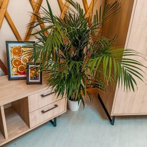 Fotografia z galérie ubytovania Jurty Glamping v destinácii Gostynin
