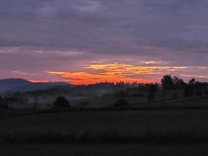 a sunset over a field in a field with trees at Pastelova Krova - domki w Bieszczadach in Ustrzyki Dolne