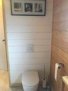 a bathroom with a white toilet and a toilet paper roll at Le bain de la lesse in Tellin