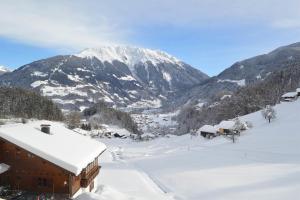 Haus Wilma during the winter