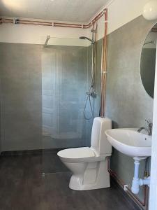 a bathroom with a toilet and a sink and a shower at Magnarp Strandbad in Vejbystrand
