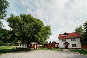 Sub CetateVén Diófa的一栋白色的房子，前面有一棵树