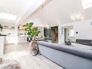 a living room and kitchen with a couch and a plant at 12 Manor Farm Close in Kingham