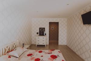 ein Schlafzimmer mit einem Bett, einer Kommode und einem TV in der Unterkunft Standard Plus Apartment in Poltawa