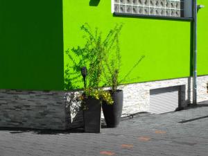 dos ollas grandes con plantas frente a un edificio verde en Pension Froschprinz en Seligenstadt