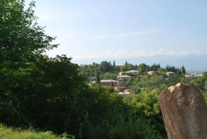 Paesaggio naturale nelle vicinanze dell'affittacamere