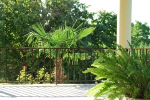 Giardino di Shanshe