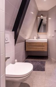 a bathroom with a toilet and a sink and a mirror at Vakantiehuis Rehoboth in Domburg
