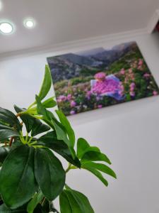 Fotografie z fotogalerie ubytování فيلا الغروب الجبل الأخضر v destinaci Ḩayl Yaman