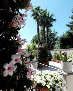 Imagen de la galería de B&B Casa Althea, en Milo
