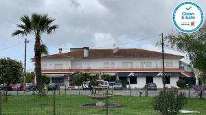 budynek z palmą przed budynkiem w obiekcie Kualquer Koisa w mieście Tondela