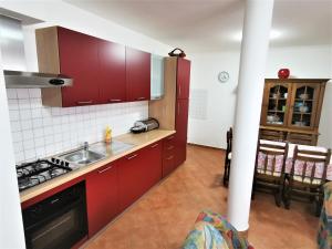 Køkken eller tekøkken på Apartment Skalnica