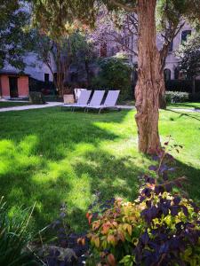 eine Gruppe weißer Liegestühle neben einem Baum in der Unterkunft Cinqueteste Luxury Home in Venedig