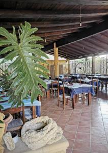 a restaurant with tables and chairs and a large plant at Camping Dell'Uva in Le Castella