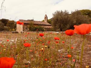Zahrada ubytování Bastide Sainte Trinide