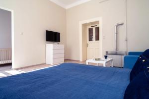 een slaapkamer met een blauw bed en een televisie bij Blue Ribbon Apartment in Boedapest