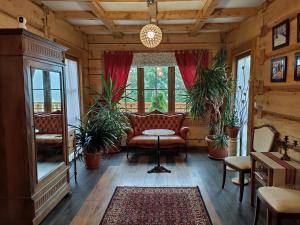 a living room with a chair and potted plants at Willa Baśka in Zakopane