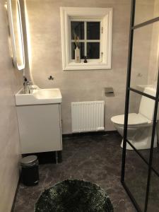 baño con lavabo y aseo y ventana en Rådstugugatan 32, en Nora