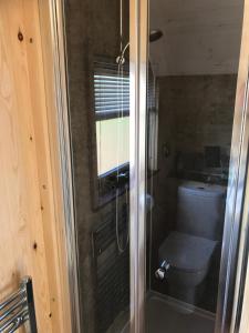 a bathroom with a shower with a toilet at The Ardmore Pod in Trumpan
