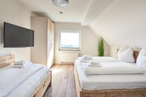 2 camas en una habitación con TV en la pared en Smart Resorts Haus Saphir Ferienwohnung 507, en Winterberg