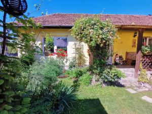 a garden in front of a yellow house at Casa Otilia in Haţeg