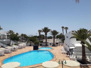 widok na basen w ośrodku z palmami w obiekcie Nicole Playa Park w Puerto del Carmen