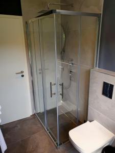 a shower stall with a toilet in a bathroom at Hotel Kornblume in Haundorf