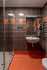 La salle de bains est pourvue d'un lavabo et d'une douche. dans l'établissement Comfort Hotel Kuldiga, à Kuldīga