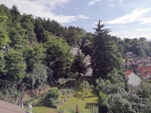 an aerial view of a garden with trees and houses at Ferienwohnung Schaefer in Heppenheim an der Bergstrasse