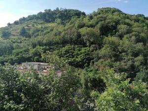 a house on the side of a hill with trees at Ferienwohnung Schaefer in Heppenheim an der Bergstrasse