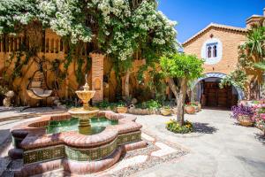 Ein Garten an der Unterkunft Dar Echchaouen Maison d'Hôtes & Riad