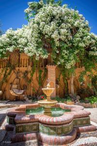 Ein Garten an der Unterkunft Dar Echchaouen Maison d'Hôtes & Riad